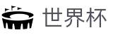 国际足联世界杯 · 私密安全通道享玩